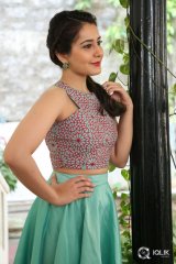 Raashi Khanna Interview About Bengal Tiger